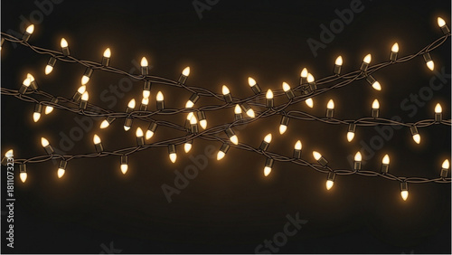 Festive String Lights Twinkling on Black Background