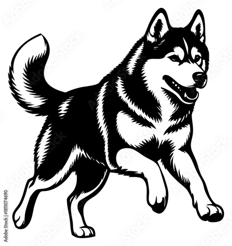 Running Husky Dog Silhouette Vector, Transparent Background