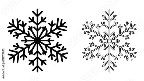 Two intricately detailed snowflake designs in black and white showcasing natural crystalline beauty