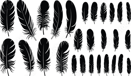 Feather silhouettes, black feather icons, bird plume vector, nature design set, feather shape grid, decorative illustration collection