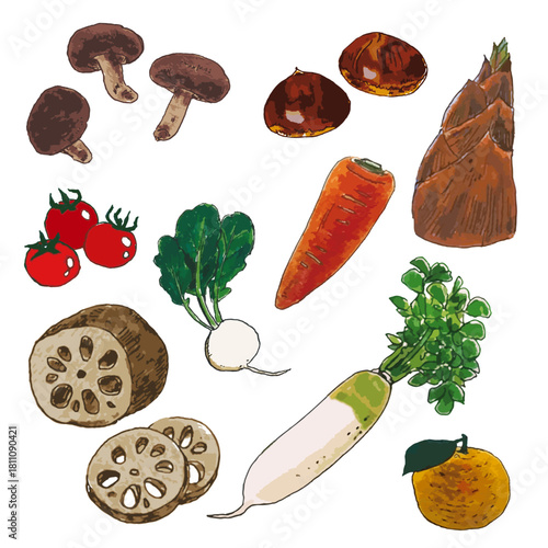 リアルな野菜いろいろセット