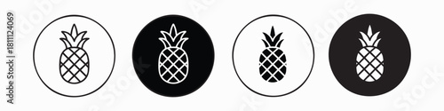 Pineapple Fruit Icons Set in Circle Frames - Outline and Solid