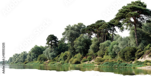 Serene river bank with lush green trees and clear water