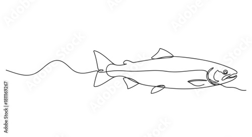 Elegant single continuous line drawing of a swimming salmon, a flowing aquatic creature design for modern vector graphics, embodying simplicity and grace