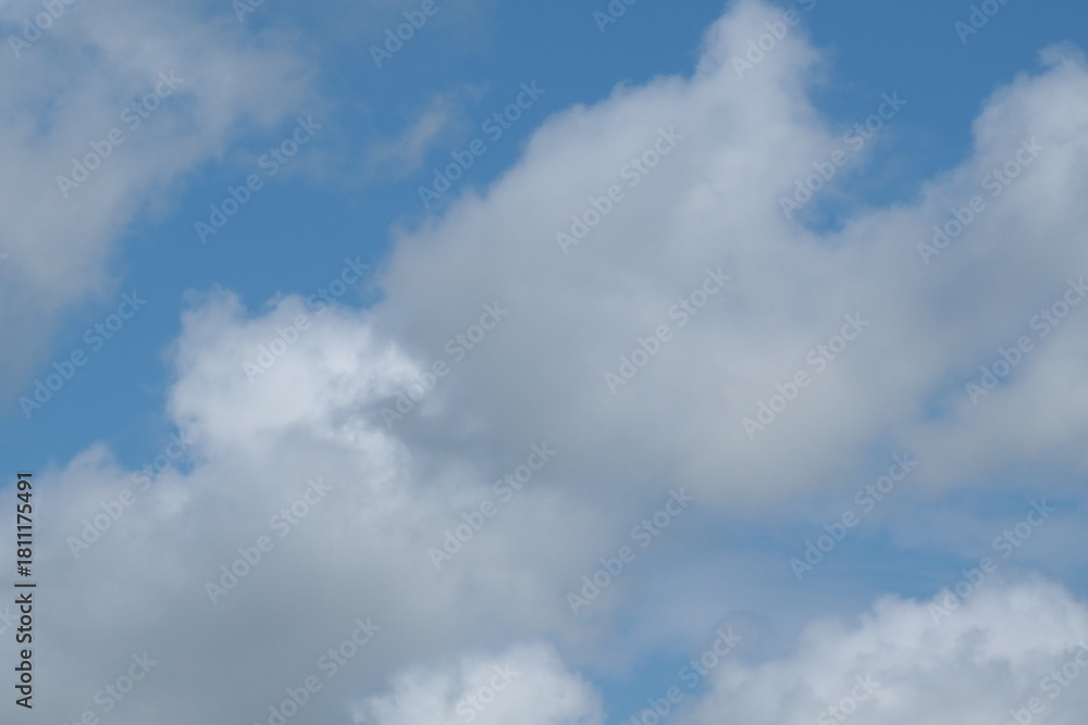 Obraz premium 自然 風景