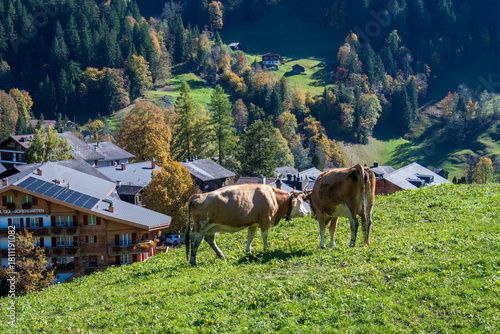 Beautiful village of Grindelwald, Switzerland