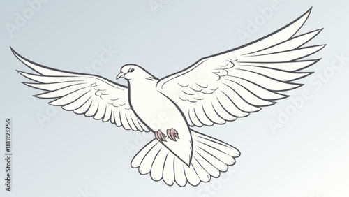 Dove drawing vector illustration of flying bird peace concept with wings spread in detailed line art style