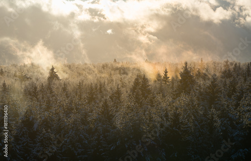 A snow-covered forest bathed in the warm glow of a sunlight. Sun rays pierce through the clouds, casting a light on the fir trees and creating a magical atmosphere