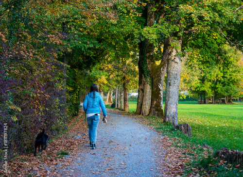 A romantic autumn walking path with lots of yellow leaves