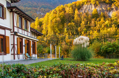 Beautiful wooden house with autumn foliage garden