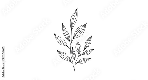 A delicate line-art branch with evenly spaced, narrow leaves extending symmetrically from a thin curved stem.