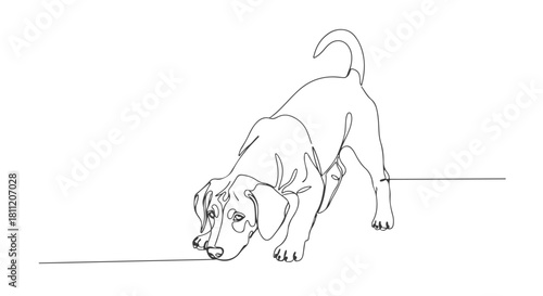 Single line continuous illustration of a dachshund puppy sniffing a scent trail, minimal artwork concept, 6