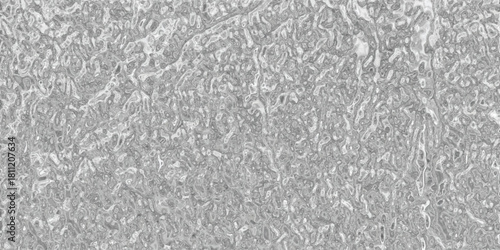 Abstract textured background with a detailed organic pattern resembling distressed metal or weathered stone in shades of gray and silver, perfect for digital art and design projects