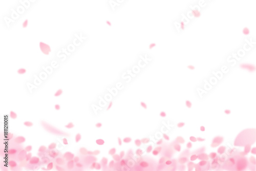 舞い散る、降り積もるやさしい桜の花びら背景