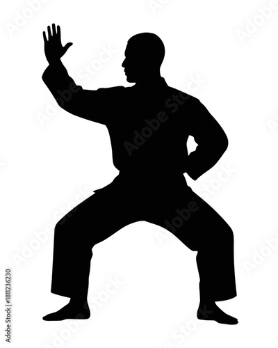 Silhouette of a martial artist in a fighting stance with one hand raised in a defensive posture