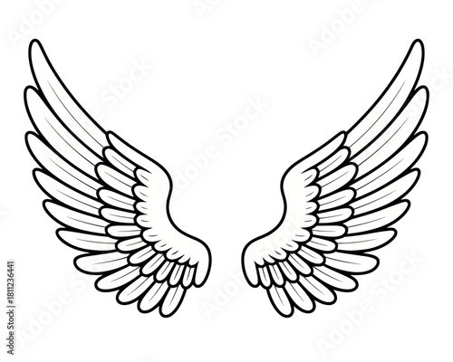 Two symmetrical wings with detailed feathering displayed in a black and white line drawing style image silhouette