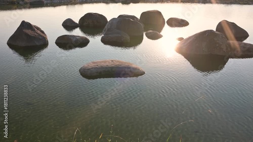 Wagtail flies around rocks of a pond at dusk.