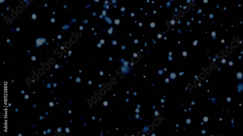 Blue Snow Particles Falling on Black Background Winter Overlay Loop