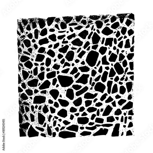 Black and white abstract organic cell pattern texture design for backgrounds and digital art projects with cells