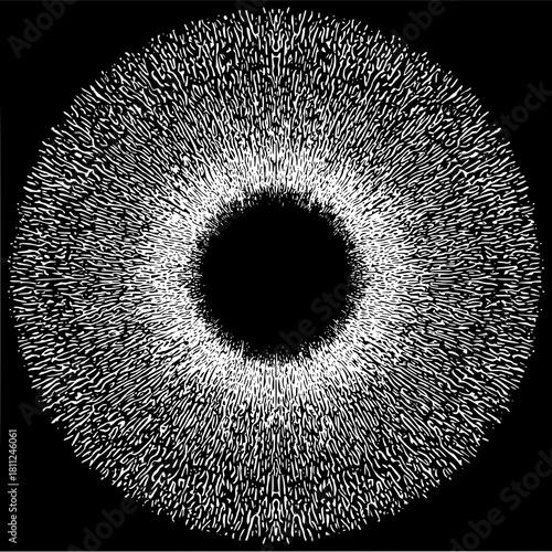 Abstract black and white eye iris vector design for ophthalmology and vision care graphics and art projects