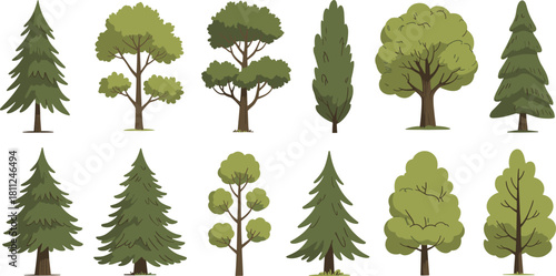 Collection of various green vector tree illustrations featuring pine, fir, cypress, and oak, isolated flat design style for nature, forest, landscape, park, and environment graphic.
