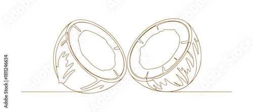 Continuous single-line illustration of halved coconuts on a white background. Minimalist vegetable silhouette with hand-drawn outlines. Editable vector stroke.