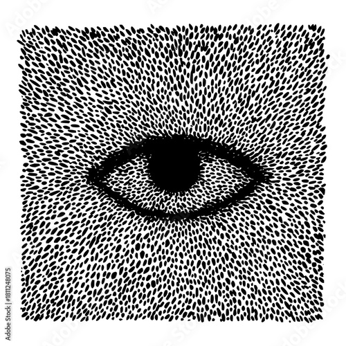 Detailed eye illustration black and white art optical illusion drawing stippling effect eye artwork design vision