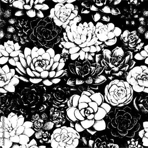 Black and white succulent plants pattern vector design botanical garden floral nature illustration background 100