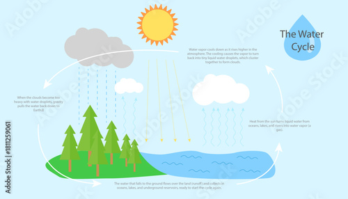 Water cycle infographic. Science teaching aids.