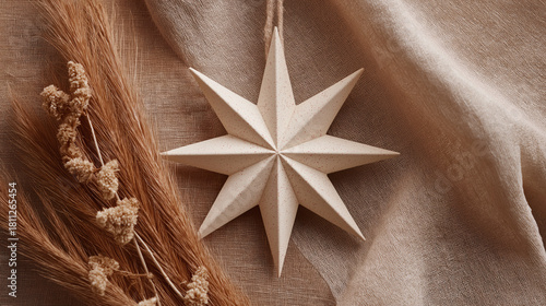 Beige Minimalist Star Ornament on Linen Fabric with Pampas