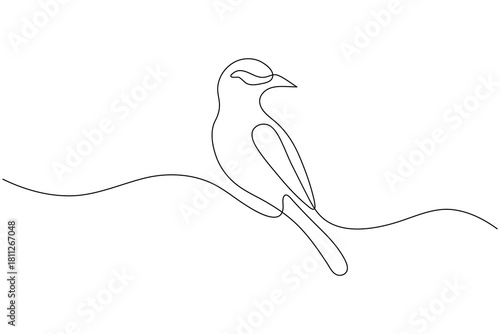 Love birds continuous line drawing simple minimalist outline illustration
