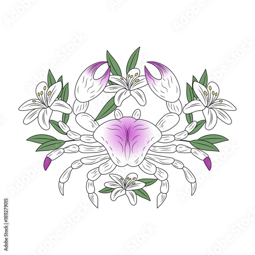 A vintage style illustration representing crab