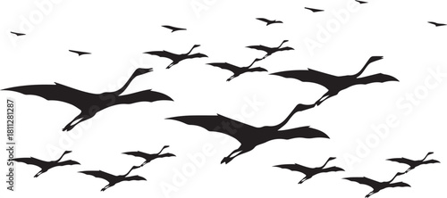 A collection of various sized black bird silhouettes are scattered across a white background, appearing to fly.
