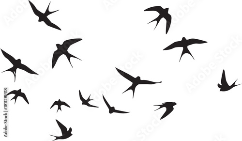 A collection of various sized black bird silhouettes are scattered across a white background, appearing to fly.