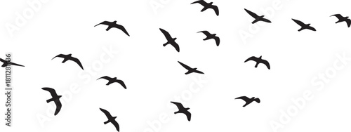 A collection of various sized black bird silhouettes are scattered across a white background, appearing to fly.