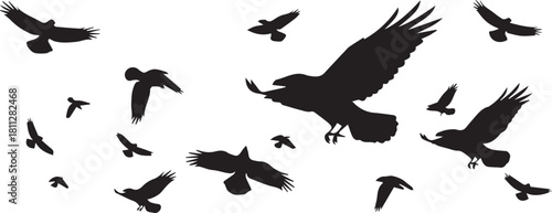 A collection of various sized black bird silhouettes are scattered across a white background, appearing to fly.