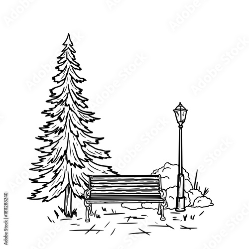 Christmas tree and park lamp, lawn next to the pavement, sketch. The drawing is in a simple style, isolated on a white background. Alley of the city park, square. Vector illustration.