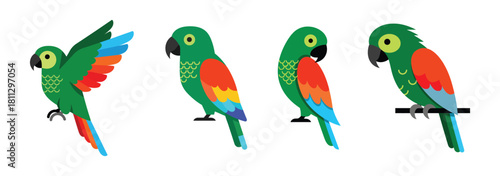 Green Amazon Parrot Bird Illustration