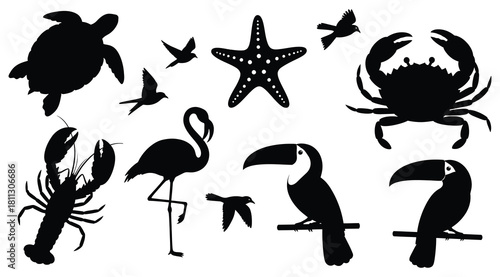 Diverse tropical marine creatures and exotic bird silhouettes set.