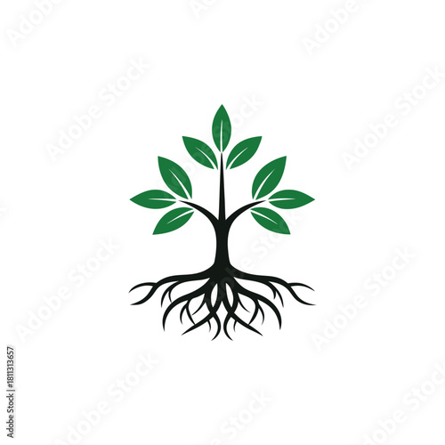 Stylized green tree with black roots isolated on white background