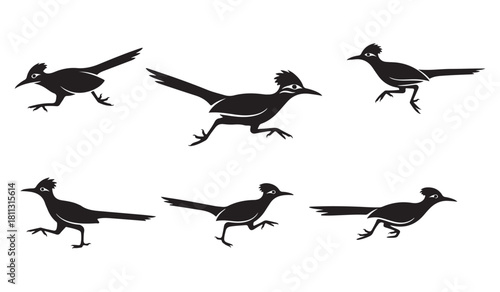Roadrunner bird silhouettes set fast running american desert animal vector illustration collection