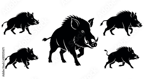Wild boar or wild pig silhouettes collection large angry mammal running vector illustration set