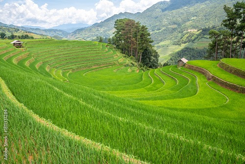 Rice fields on terraces of Mu Cang Chai, Vietnam.