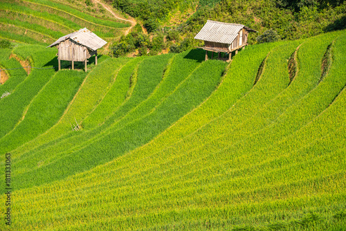 Rice fields on terraces of Mu Cang Chai, Vietnam.