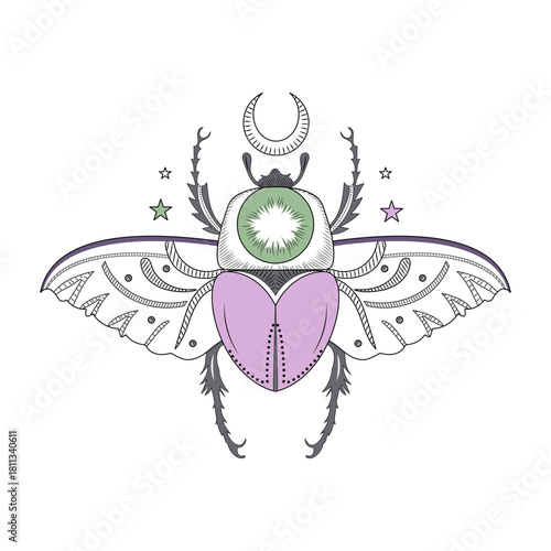 A vintage style illustration depicting beetle