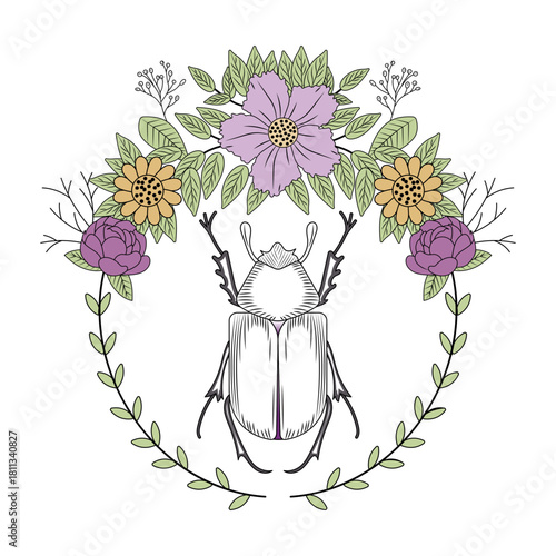 A vintage style illustration representing beetle insect