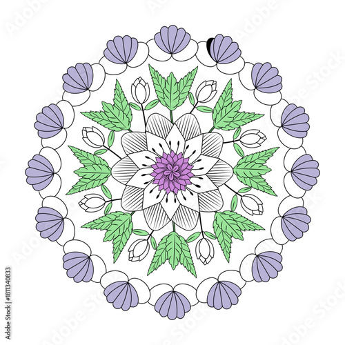 A vintage style illustration depicting shell mandala