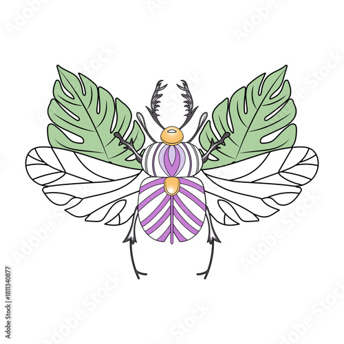 A vintage style illustration depicting coleopteran