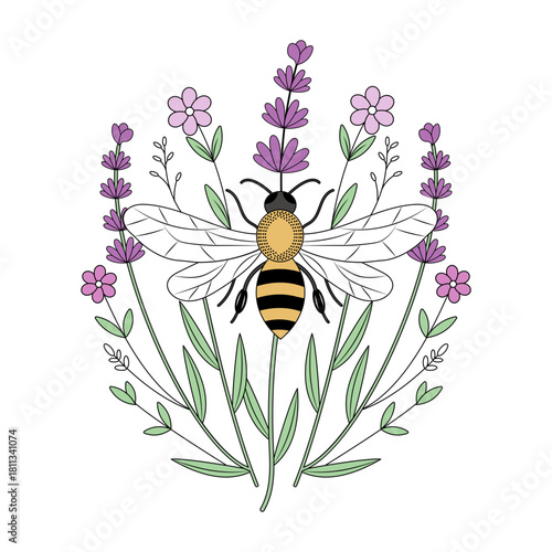 A vintage style illustration depicting honey bee