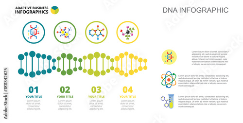 Four DNA Options Slide Template